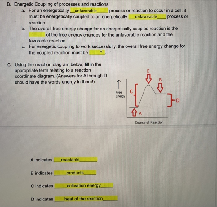 Solved B. Energetic Coupling Of Processes And Reactions. A. | Chegg.com