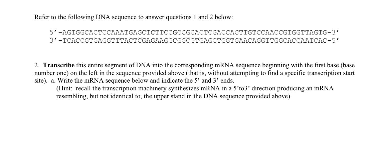 Solved Refer to the following DNA sequence to answer | Chegg.com