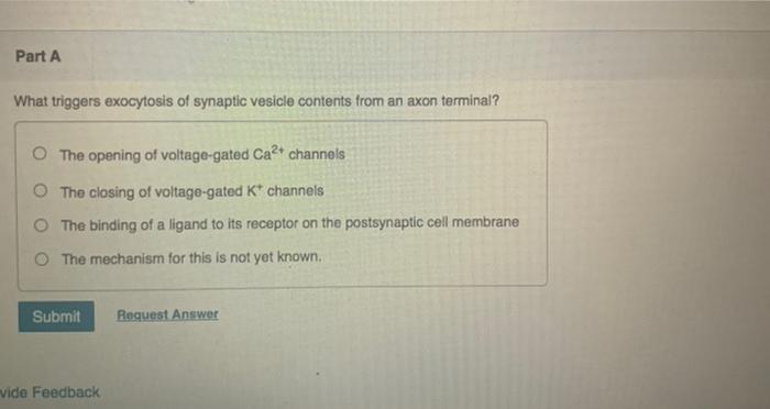 Solved Part A What Triggers Exocytosis Of Synaptic Vesicle | Chegg.com
