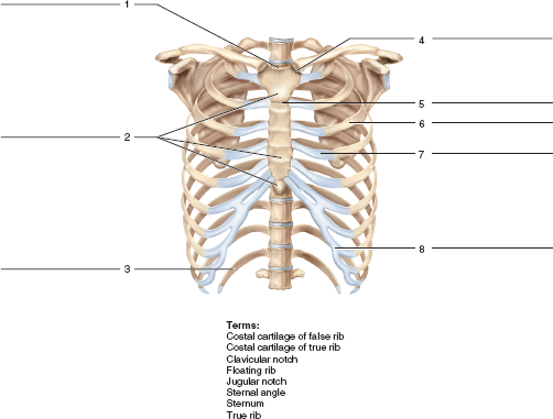 Solved: Identify the bones and features indicated in figure 15