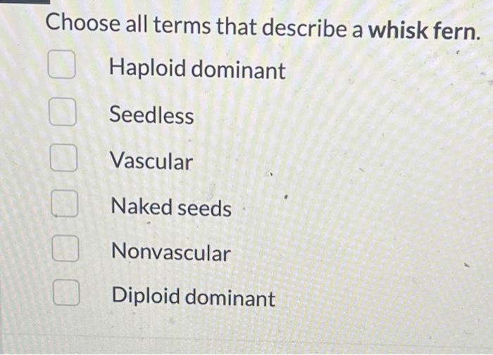Solved Choose all terms that describe a whisk fern. Haploid