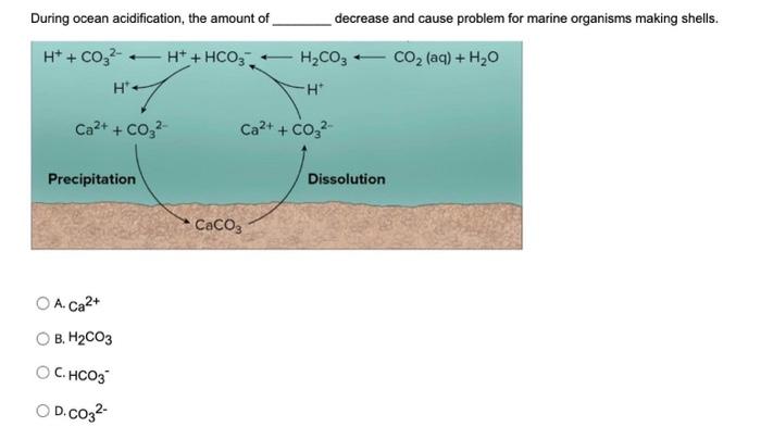 Solved During ocean acidification, the amount of decrease | Chegg.com