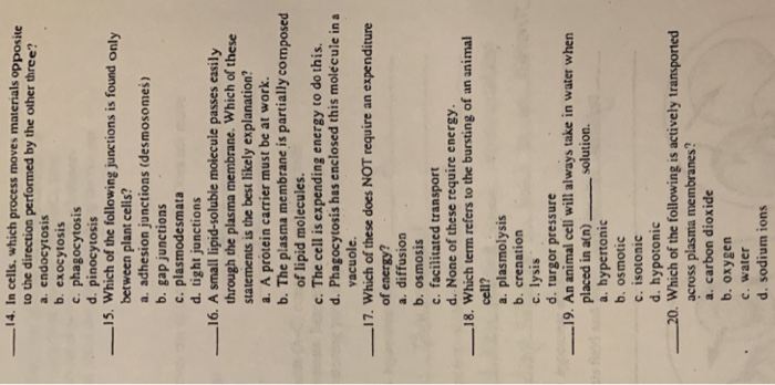 Solved 14 In Cells Which Process Moves Materials Chegg Com