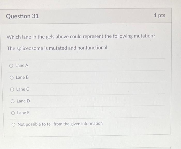 After getting an idea of where sec13 is located in | Chegg.com