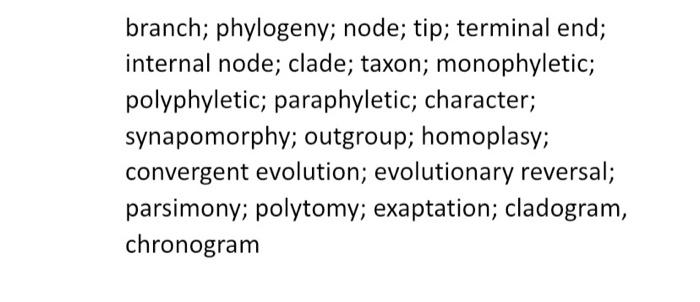 Solved branch; phylogeny; node; tip; terminal end; internal | Chegg.com