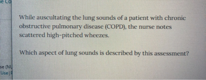 Solved etco While auscultating the lung sounds of a patient | Chegg.com