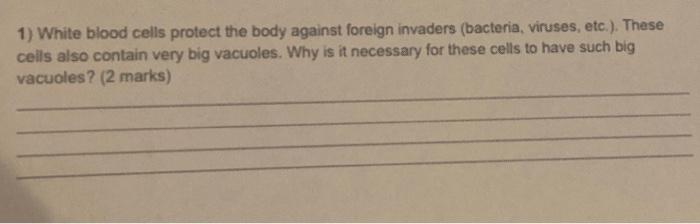 Solved 1) White blood cells protect the body against foreign | Chegg.com