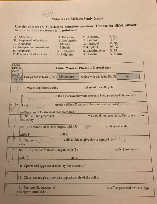 Solved Mitosis And Meiosis Study Guide Use The Choices A Y Chegg Solved Mitosis And Meiosis Study Guide Use The Choices A Y Chegg