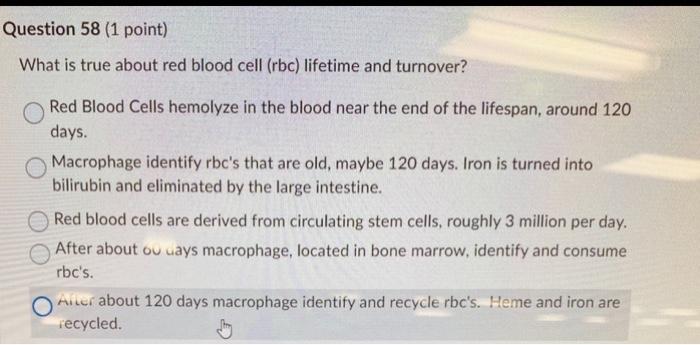 Solved What is true about red blood cell (rbc) lifetime and | Chegg.com
