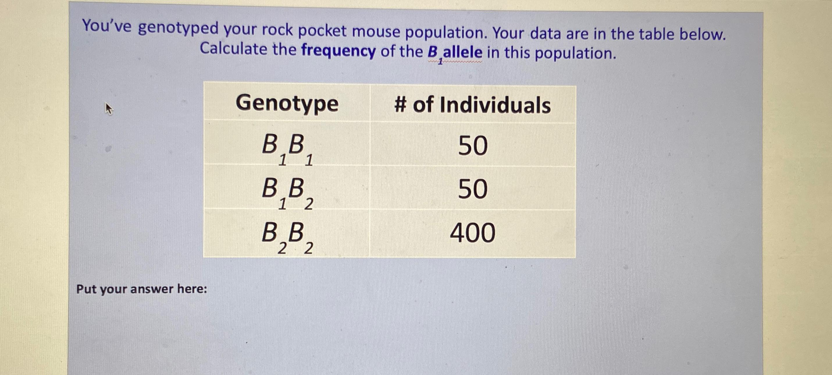 Solved You've genotyped your rock pocket mouse population.
