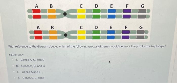 With Reference To The Diagram Above, Which Of The | Chegg.com