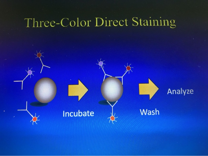 Solved Describe three color staining of cells by two- | Chegg.com