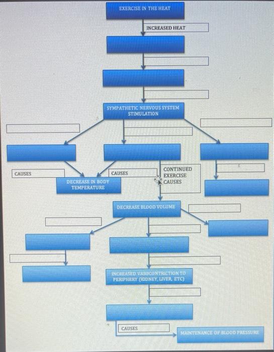 Solved Concept Map #3 Response to Exercise in the Heat Map | Chegg.com