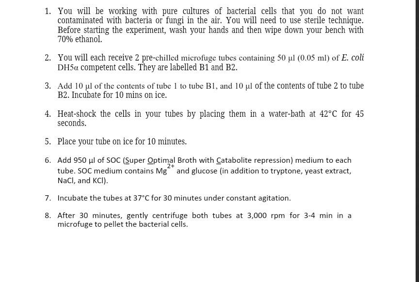 Solved why do we have to incubate the bacterial cells in SOC