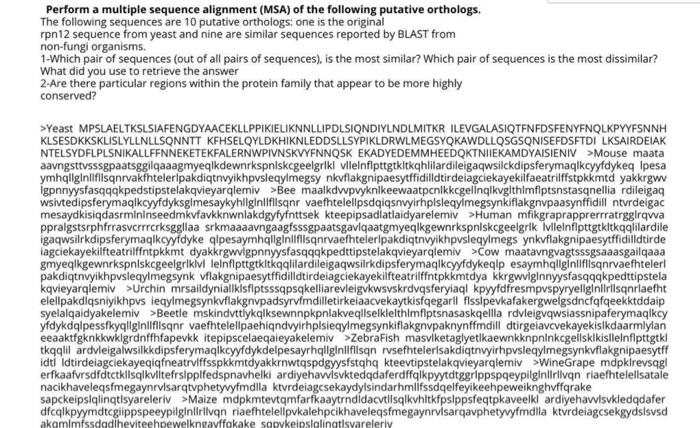 Solved Perform a multiple sequence alignment (MSA) of the | Chegg.com