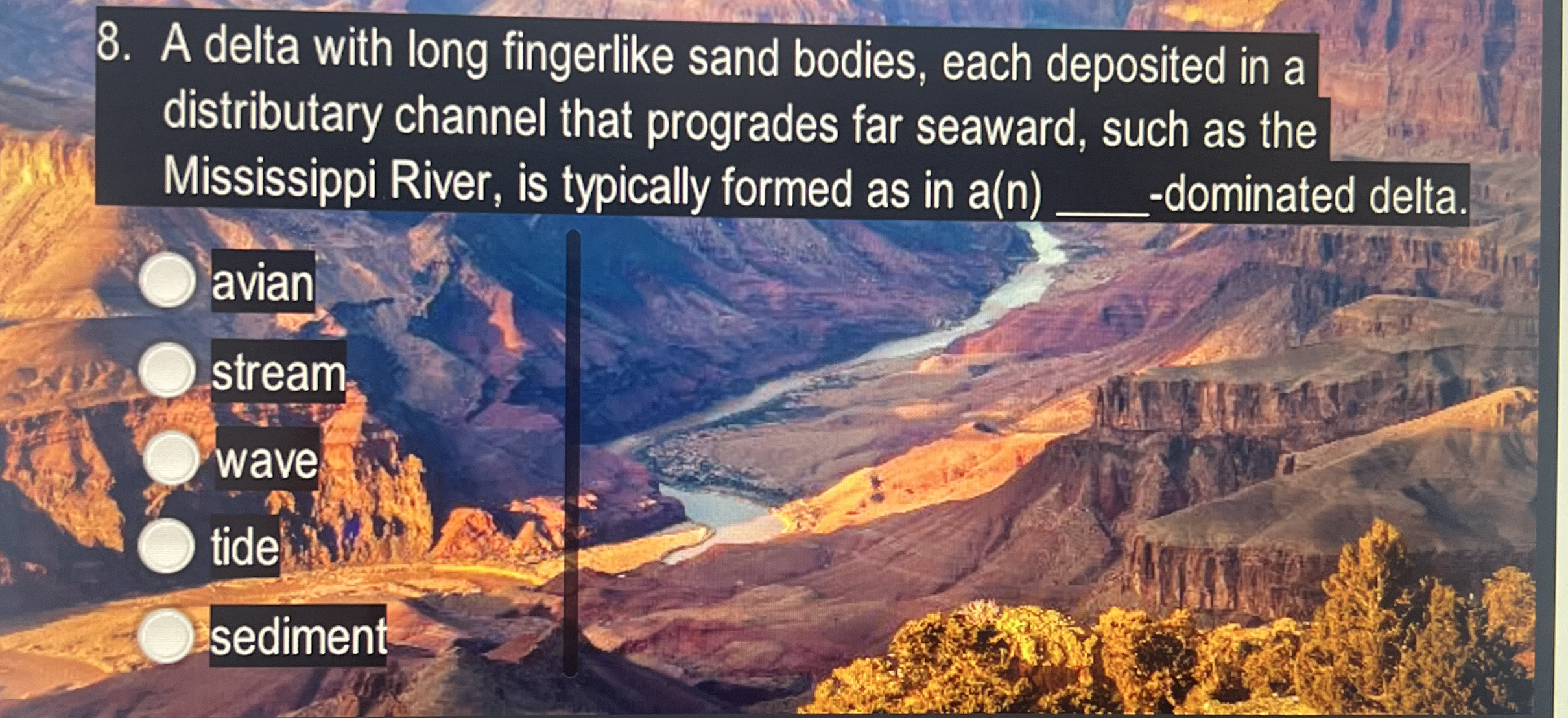 Solved A delta with long fingerlike sand bodies, each | Chegg.com
