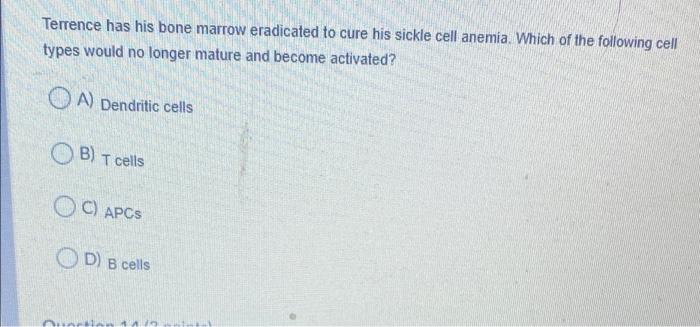 Solved Terrence has his bone marrow eradicated to cure his | Chegg.com