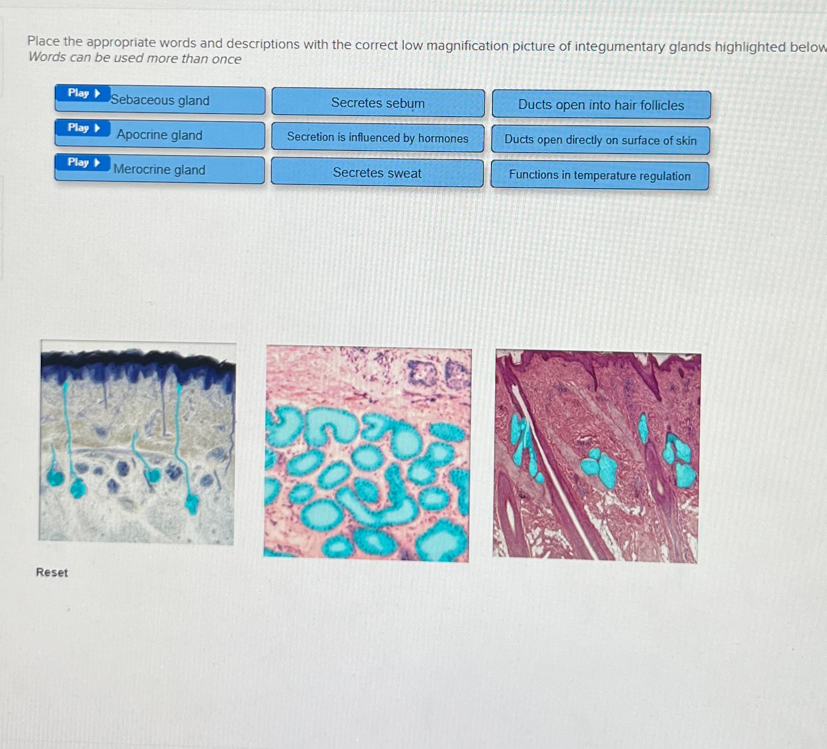 Solved Place the appropriate words and descriptions with the | Chegg.com