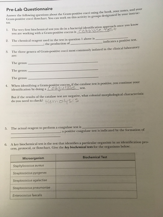 Preferred Lab Questionnaire Solved Pre-Lab Questionnaire Answer the following questions | Chegg.com
