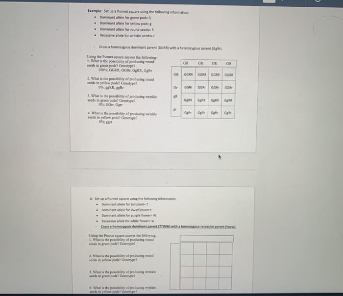 Solved . . . A: Set up a Punnet square using the following | Chegg.com