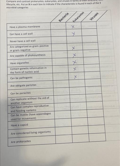 Solved Compare And Contrast Prokaryotes Eukaryotes And Chegg Com