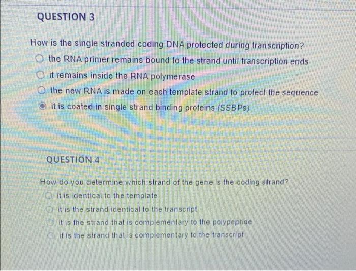 Solved QUESTION 3 How is the single stranded coding DNA | Chegg.com