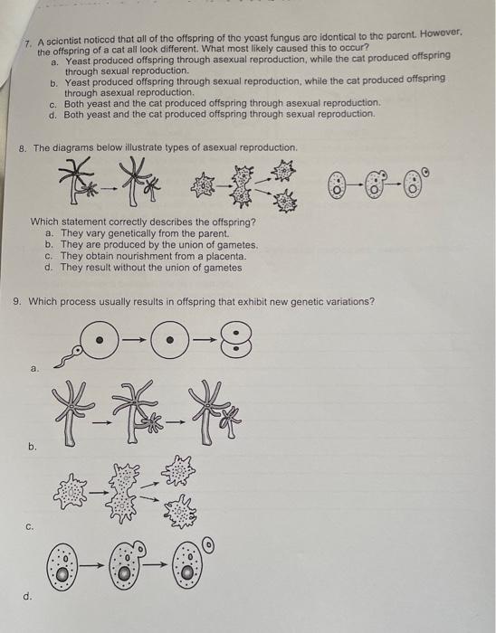 Solved Comparing Asexual Reproduction \& Sexual Reproduction