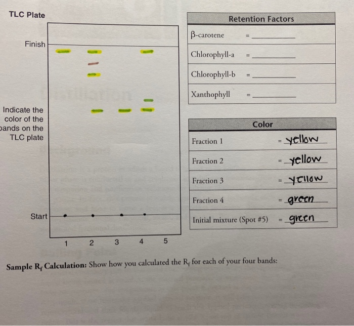 TLC Plate Retention Factors Bcarotene Finish