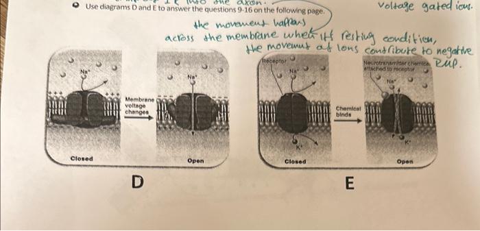 Solved Q Use diagrams D and E to answer the questions 9.16 | Chegg.com