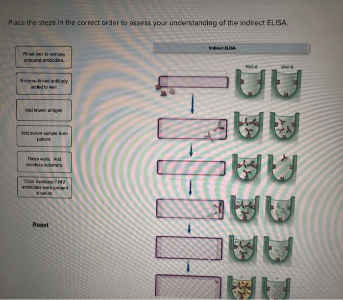 Solved Place the steps in the correct order to assess your | Chegg.com