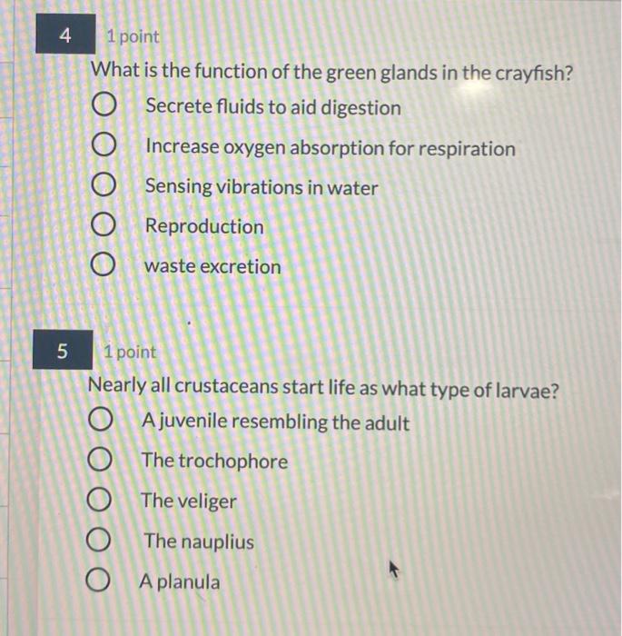Solved Barnacles are sessile, suspension (filter) feeding