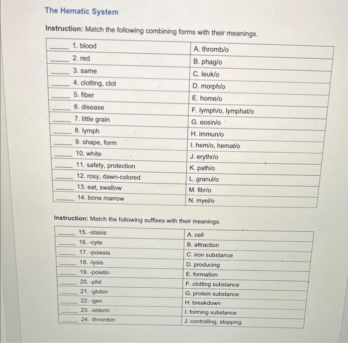 Solved The Hematic System Instruction: Match the following | Chegg.com
