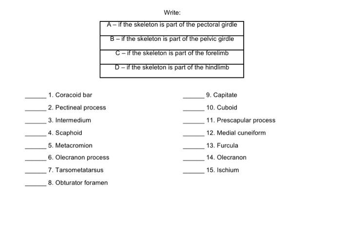 Solved Write: 1. Coracoid bar 9. Capitate 2. Pectineal | Chegg.com