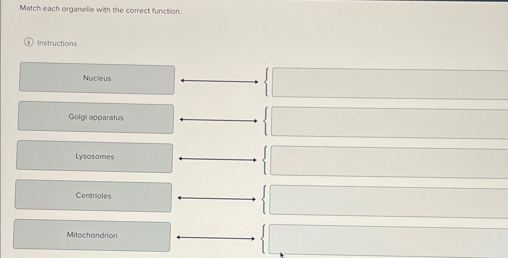 Solved Match each organelle with the correct | Chegg.com