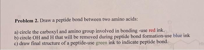 Solved 3) andProblem 2. Draw a peptide bond between two | Chegg.com