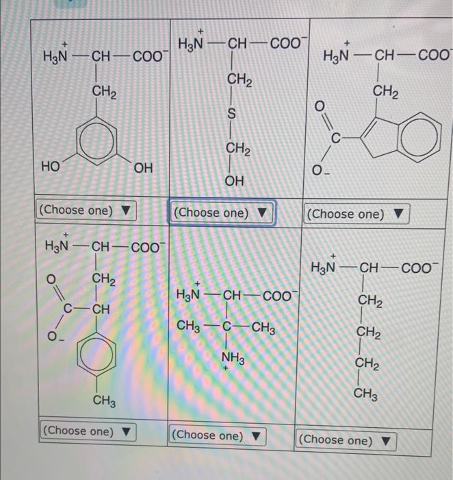 Solved clasify each of the amino acids below | Chegg.com
