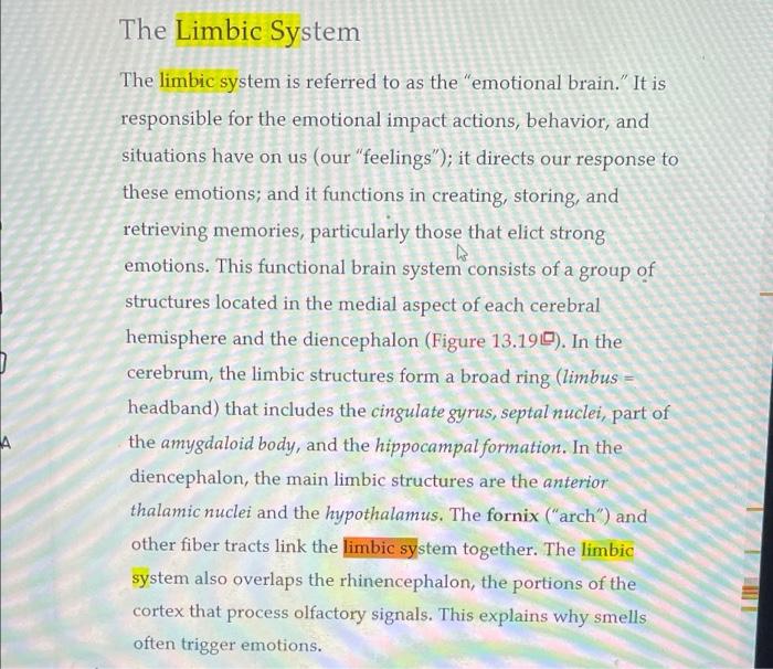 Solved 9. Define lobe, sulci, gyrus and fissure. List the