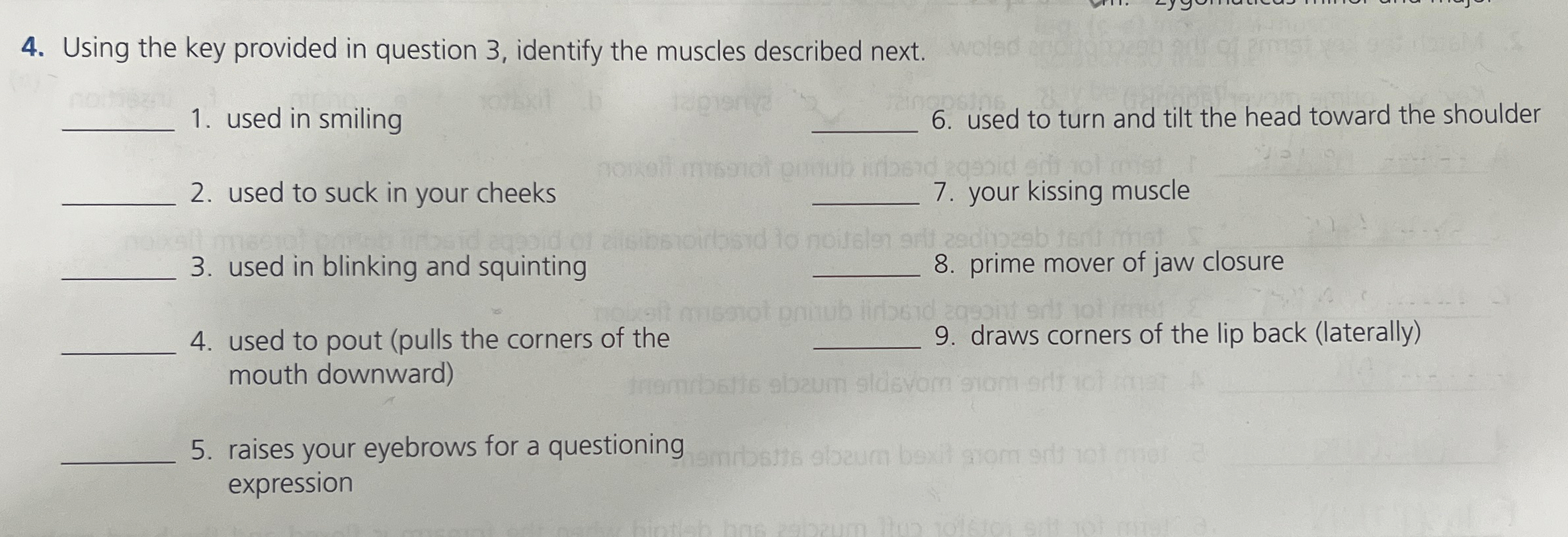 Solved Using the key provided in question 3, ﻿identify the | Chegg.com