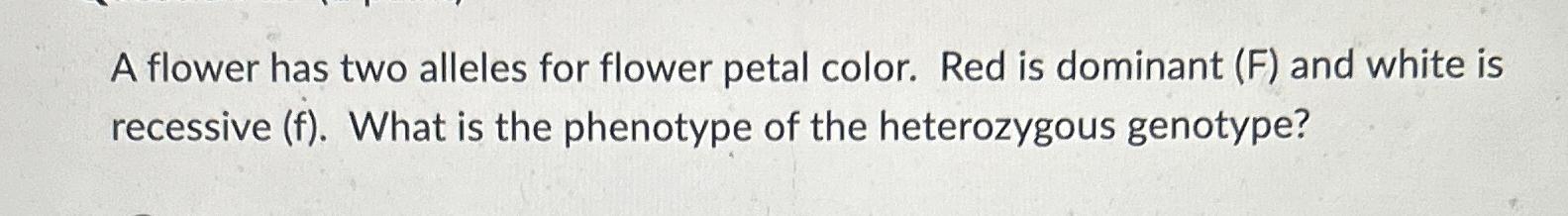 Solved A flower has two alleles for flower petal color. Red | Chegg.com