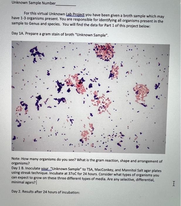 Solved For this portion of the Unknowns lab you will put | Chegg.com