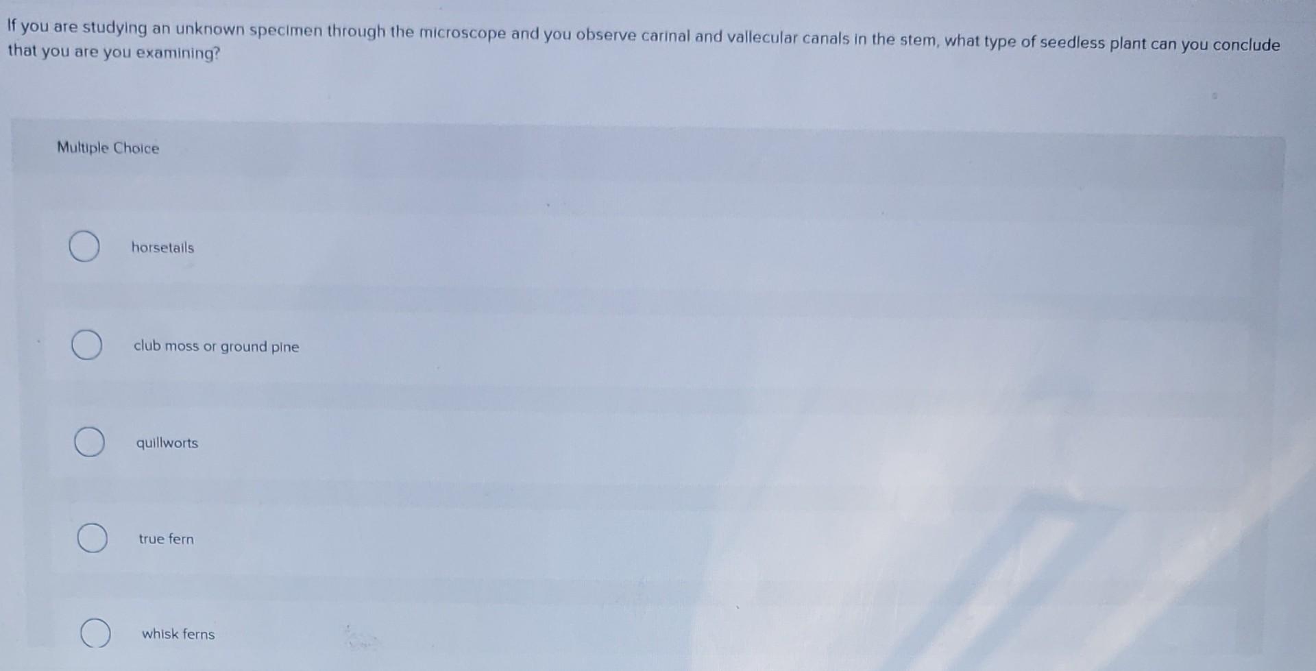 Solved If you are studying an unknown specimen through the | Chegg.com