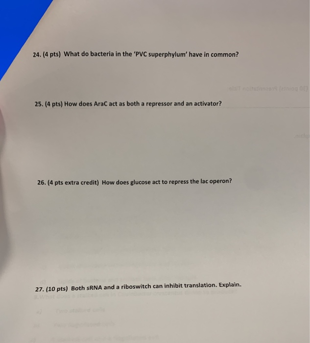 Solved 24. (4 pts) What do bacteria in the 'PVC superphylum' | Chegg.com