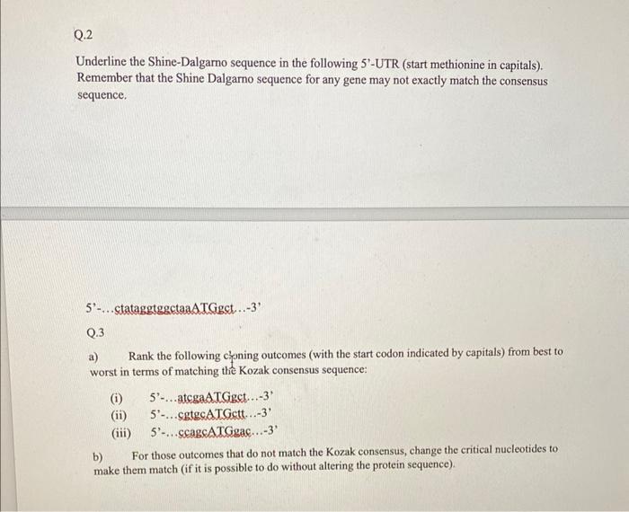 Solved Underline the ShineDalgarno sequence in the