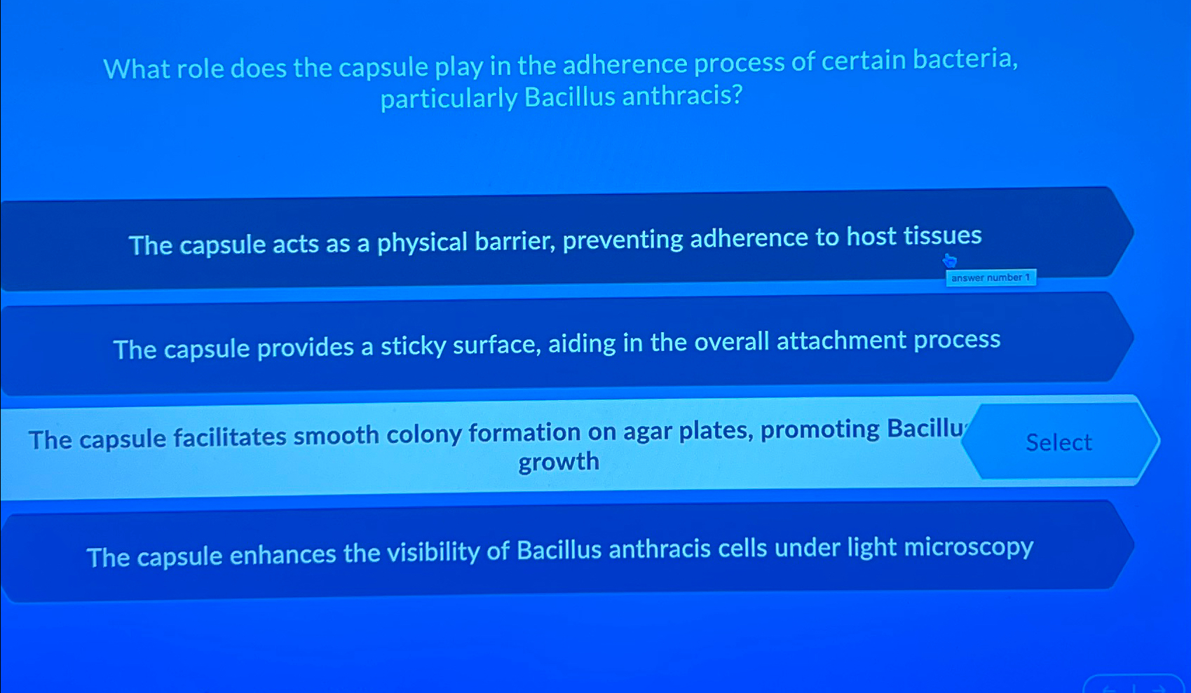 What role does the capsule play in the adherence | Chegg.com