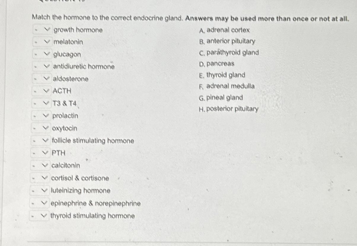 Solved Match the hormone to the correct endocrine gland. | Chegg.com