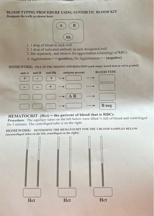 Solved BLOOD TYPING PROCEDURE USING SYNTHETIC BLOOD KIT | Chegg.com