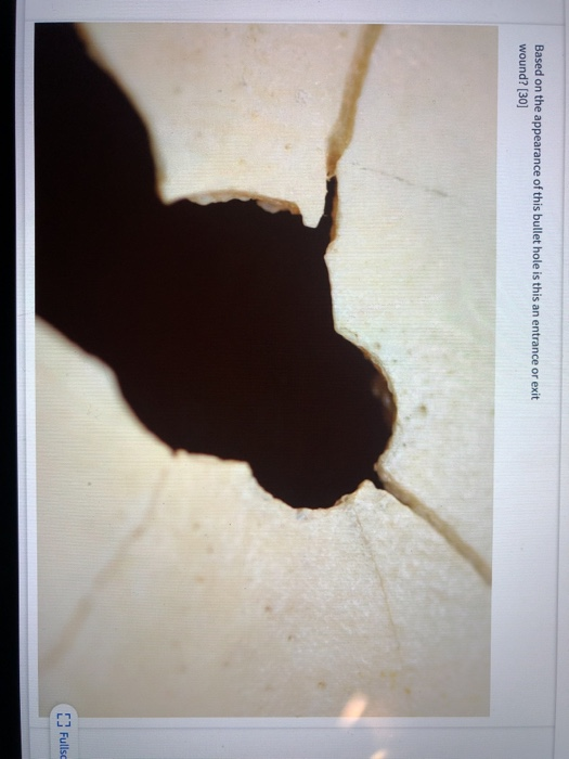 Solved Based on the appearance of this bullet hole is this | Chegg.com