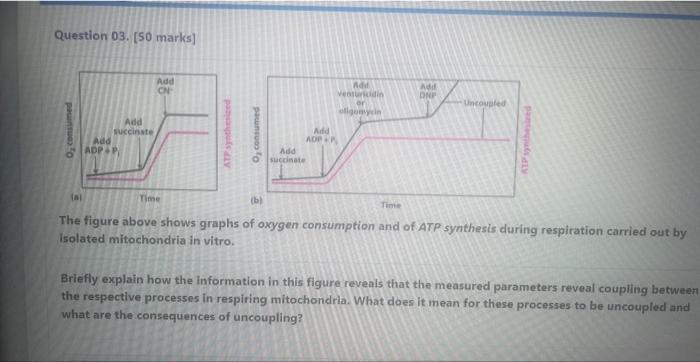 Solved Question 03. [50 marks] The figure above shows graphs | Chegg.com