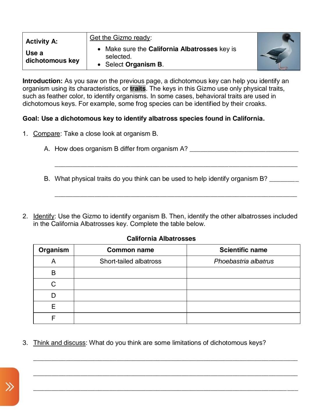 Solved Activity A: Use A Dichotomous Key Get The Gizmo 