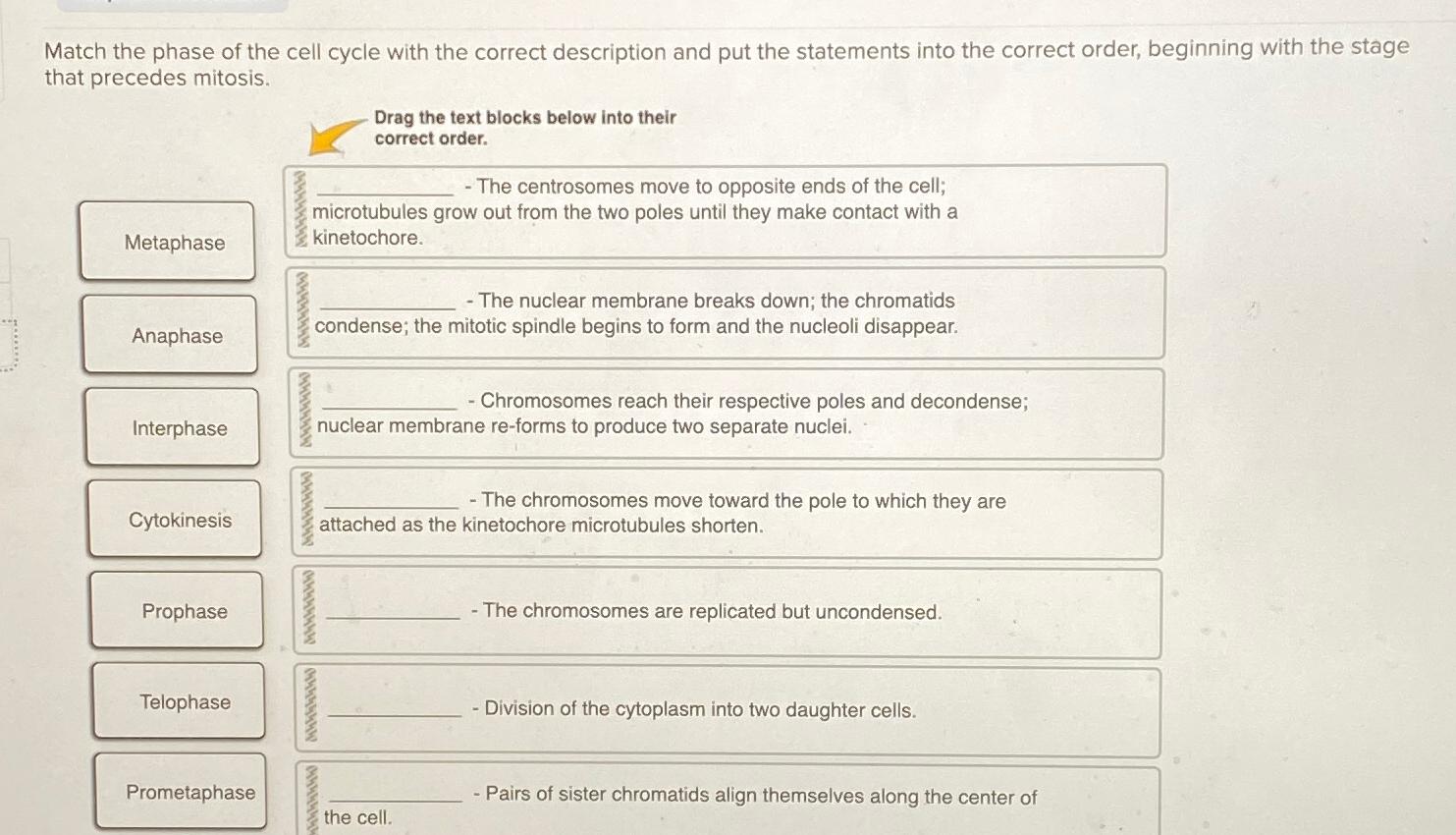 Solved Match the phase of the cell cycle with the correct | Chegg.com